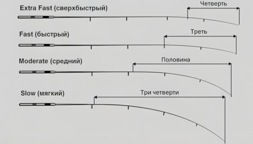 строй спиннинга для новичка нужен регуляр