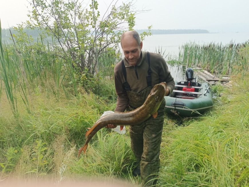 осенний жор щуки
