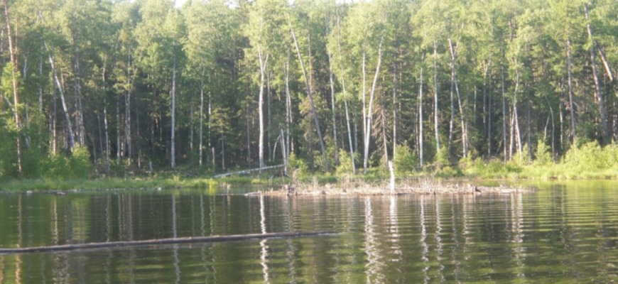 Осенний водоём — плотва уходит на глубину